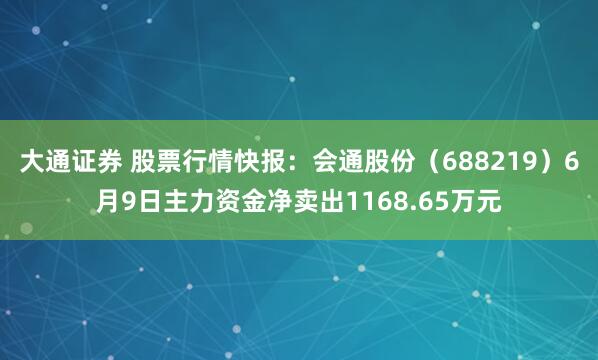 大通证券 股票行情快报：会通股份（688219）6月9日主力资金净卖出1168.65万元