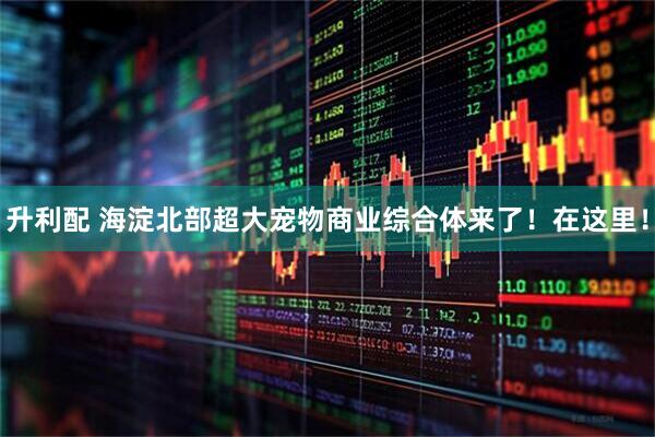 升利配 海淀北部超大宠物商业综合体来了！在这里！
