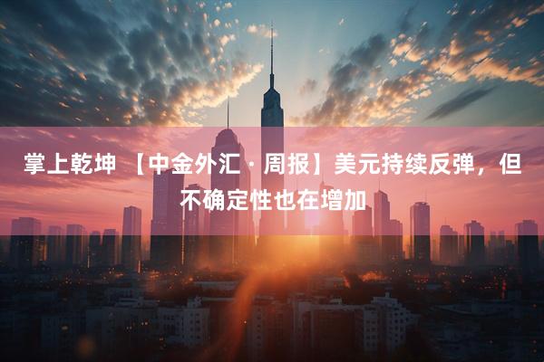 掌上乾坤 【中金外汇 · 周报】美元持续反弹，但不确定性也在增加