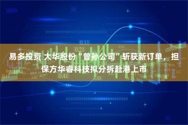 易多投资 大华股份“曾孙公司”斩获新订单，担保方华睿科技拟分拆赴港上市