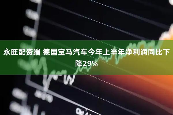 永旺配资端 德国宝马汽车今年上半年净利润同比下降29%