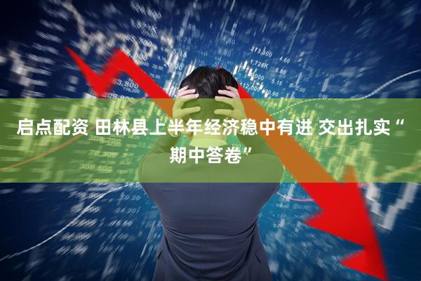 启点配资 田林县上半年经济稳中有进 交出扎实“期中答卷”