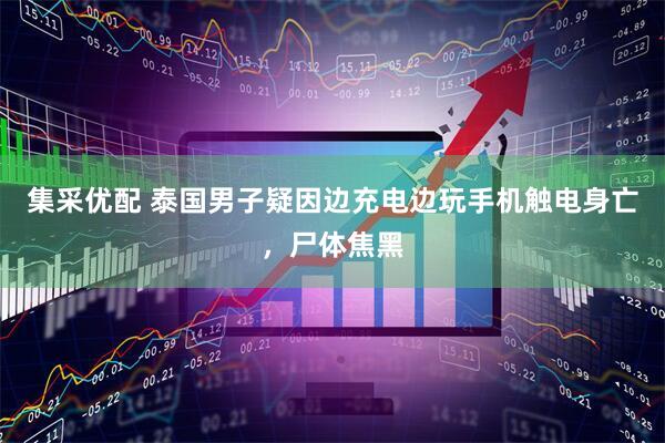 集采优配 泰国男子疑因边充电边玩手机触电身亡，尸体焦黑