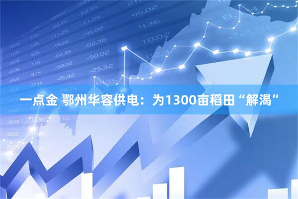 一点金 鄂州华容供电：为1300亩稻田“解渴”
