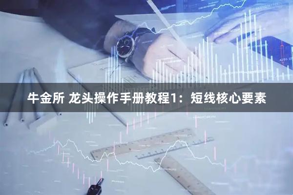 牛金所 龙头操作手册教程1：短线核心要素