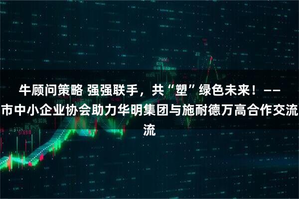 牛顾问策略 强强联手，共“塑”绿色未来！——市中小企业协会助力华明集团与施耐德万高合作交流