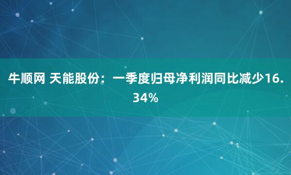 牛顺网 天能股份：一季度归母净利润同比减少16.34%