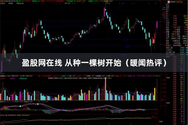 盈股网在线 从种一棵树开始（暖闻热评）